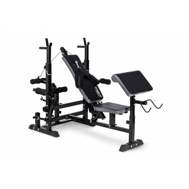 Скамья тренировочная Trex Sport TX-075 + парта Скотта Скамья тренировочная Trex Sport TX-075 + парта Скотта