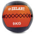 Мяч для кроссфита Wall Ball FI-5168-9 9кг черный-красный