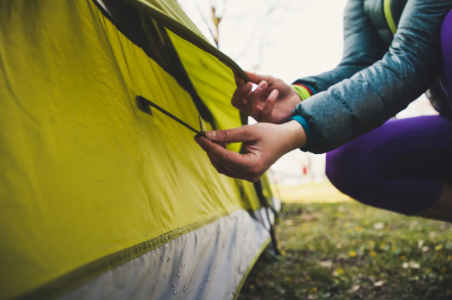 Намет Vango Stargrove II 600XL Herbal