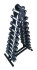 Гантельний ряд RN-Sport BLACK 1-10 кг зі стійкою