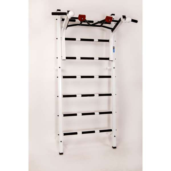 Шведська стінка RN-Sport Vertical Pro 2