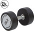Гантель цільна професійна TECHNOGYM (1 шт) 22,5 кг