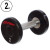 Гантель цільна професійна Life Fitness SC-80081-2 2кг (поліуретанове покриття)