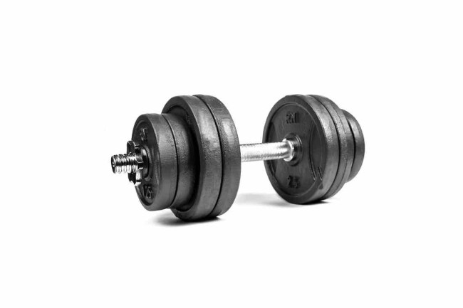 Гантеля розбірна RN-Sport 16 кг