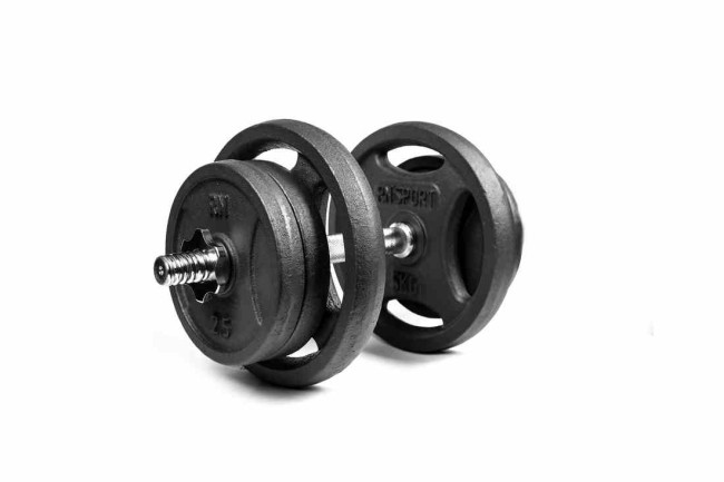 Гантеля розбірна RN-Sport 21 кг металева