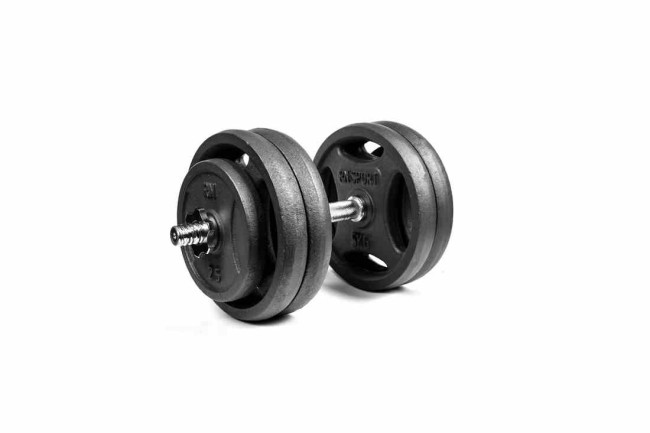 Гантеля розбірна RN-Sport 26 кг металева