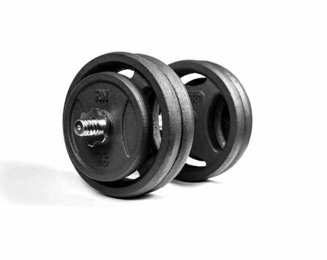 Гантеля розбірна RN-Sport 26 кг металева