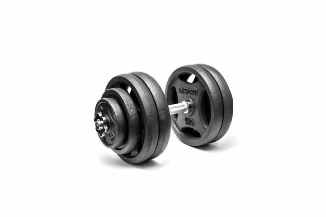 Гантель разборная RN-Sport 28 кг металлическая, чугунная. Сайт производителя РН спорт