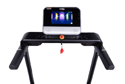 Бігова доріжка Eurofit 251F Бігова доріжка Eurofit 251F