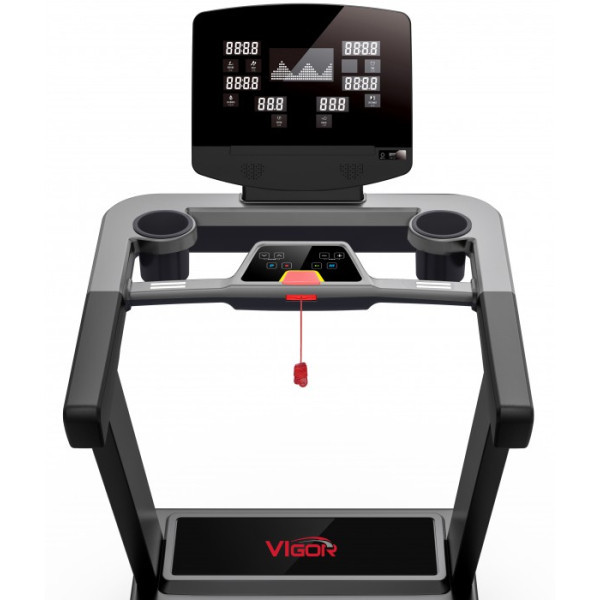 Професійна бігова доріжка Vigor 6830EA Професійна бігова доріжка Vigor 6830EA