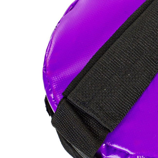 Мішок для кросфіту та фітнесу FI-5050A-10 Power Bag 10кг чорний-фіолетовий